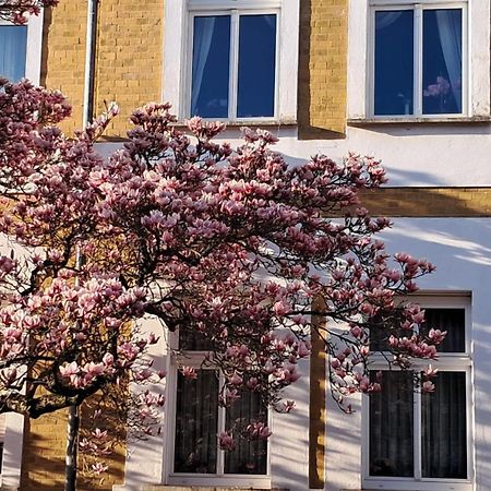 Ferienwohnung Rosi Naumburg  Exterior foto